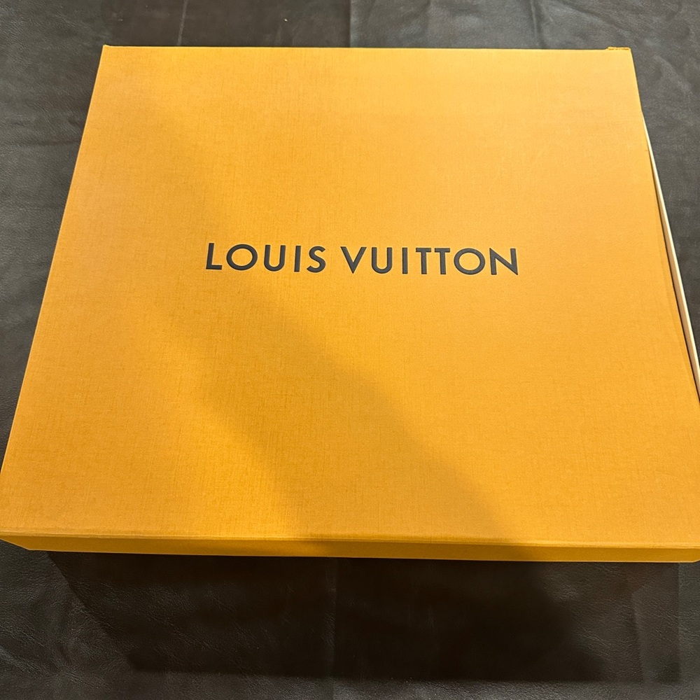 Authentic LV large box, dust cover and ribbon .